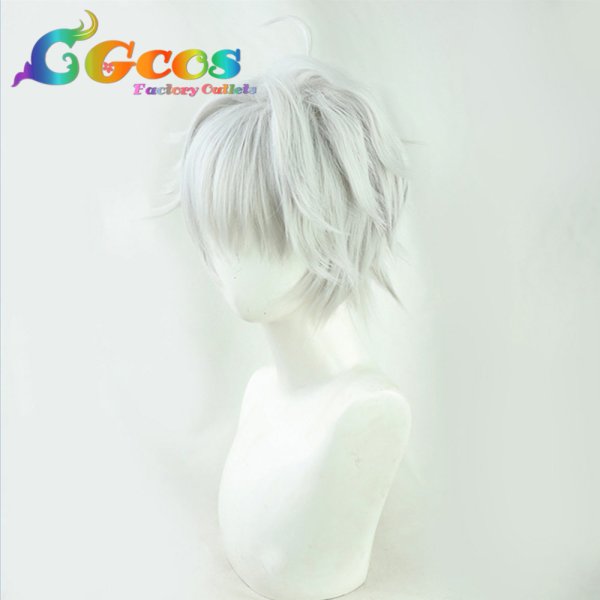 画像2: 世界最高の暗殺者、異世界貴族に転生する ウィッグ ルーグ・トウアハーデ イルグ・バロール サフィル・オグマ コスプレ衣装 (2)