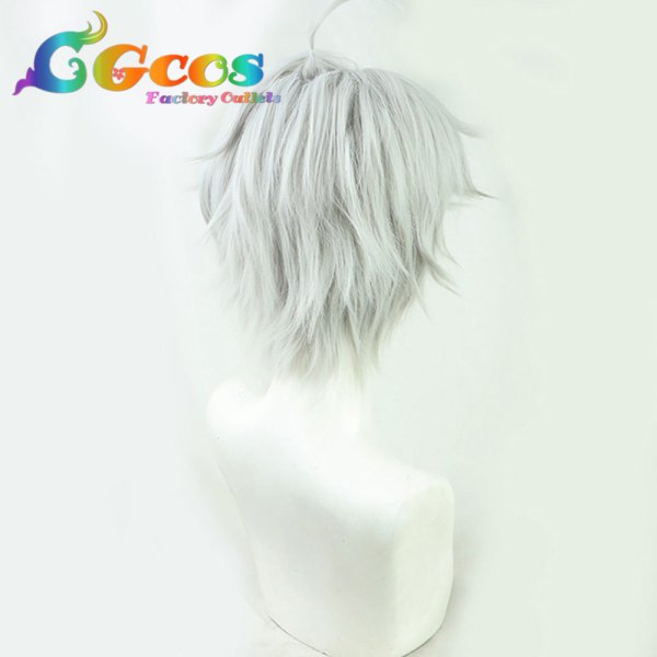 画像3: 世界最高の暗殺者、異世界貴族に転生する ウィッグ ルーグ・トウアハーデ イルグ・バロール サフィル・オグマ コスプレ衣装 (3)