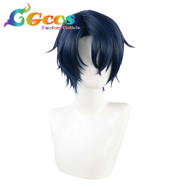 画像3: 魔法使いの約束 ウィッグ 東の国 シノ Shino コスプレ衣装 (3)