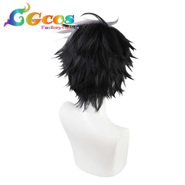 画像4: 魔法使いの約束 ウィッグ 北の国 ブラッドリー Bradley コスプレ衣装 (4)