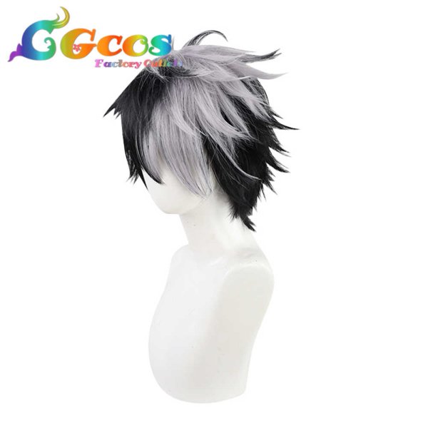 画像2: 魔法使いの約束 ウィッグ 北の国 ブラッドリー Bradley コスプレ衣装 (2)