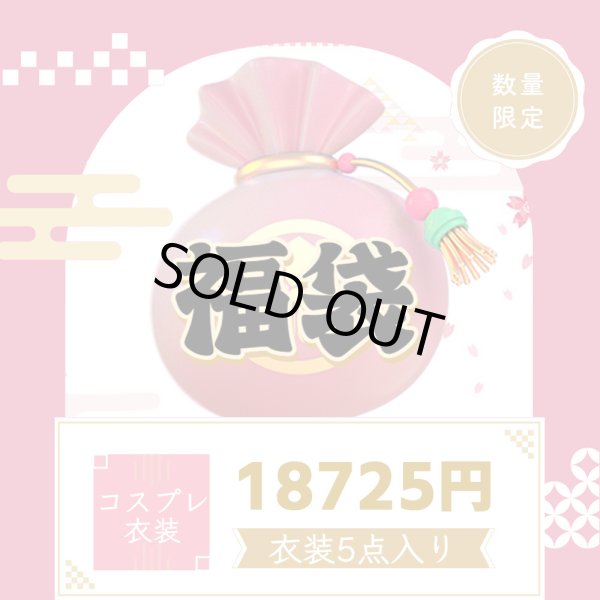 画像1: 「2026新春福袋」 福袋 コスプレ　コスチューム　5点セット　コスプレ衣装　安い【入金後一週間程出荷可】 (1)