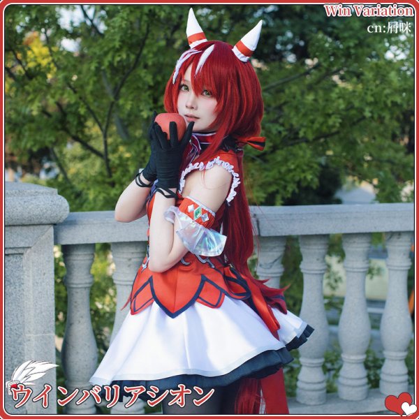 画像6: ウマ娘プリティーダービー　ウインバリアシオン 決勝服　コスプレ衣装 (6)
