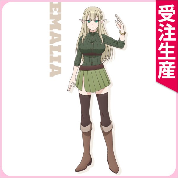 画像1: 受注生産　最強の職業は勇者でも賢者でもなく鑑定士（仮）らしいですよ？　エマリア　コスプレ衣装 (1)