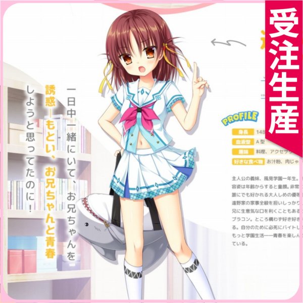 画像1: かけぬけ☆青春スパーキング！　遠野律　コスプレ衣装 (1)