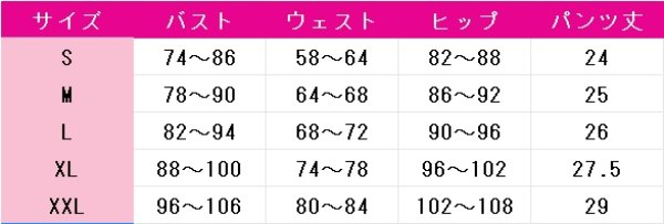 画像3: ソードアート・オンライン　シノン　ALO　コスプレ衣装 (3)