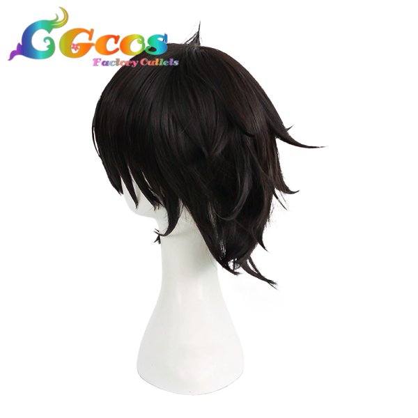 画像2: 盾の勇者の成り上がり ウィッグ 岩谷尚文 コスプレ衣装 (2)