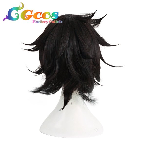 画像3: 盾の勇者の成り上がり ウィッグ 岩谷尚文 コスプレ衣装 (3)