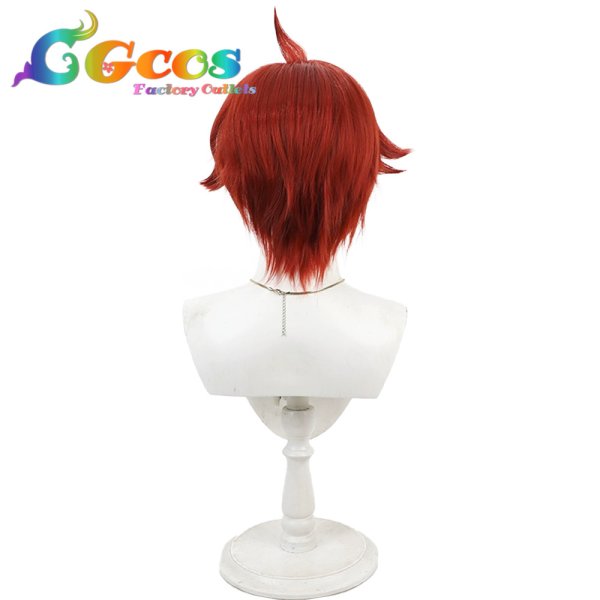 画像4: わんだふるぷりきゅあ! ウィッグ 兎山悟 コスプレ衣装 (4)