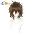 画像1: アカメが斬る!　ウィッグ　タツミ　コスプレ衣装 (1)