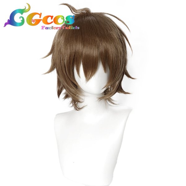 画像1: アカメが斬る!　ウィッグ　タツミ　コスプレ衣装 (1)