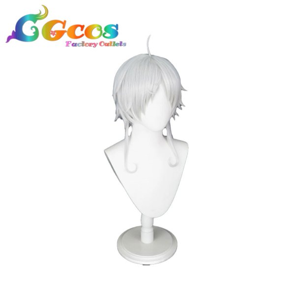 画像2: 無職転生 〜異世界行ったら本気だす〜　ウィッグ　シルフィエット　コスプレ衣装 (2)