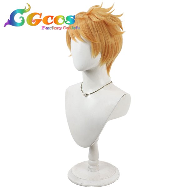 画像3: グランブルーファンタジー　ウィッグ　グラン　コスプレ衣装 (3)