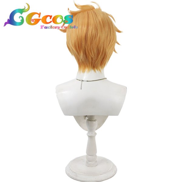 画像4: グランブルーファンタジー　ウィッグ　グラン　コスプレ衣装 (4)