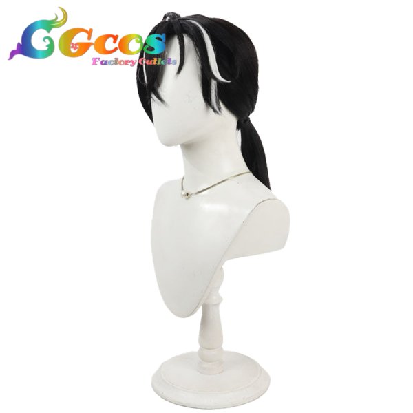 画像3: アナザーエデン 時空を超える猫　ウィッグ　墨染の軍師　シオン　コスプレ衣装 (3)