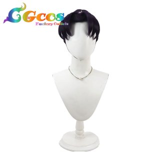 コスプレウィッグ 忍たま乱太郎 平滝夜叉丸