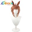 画像1: ウマ娘プリティーダービー　ウィッグ　フビコーペガサス　コスプレ衣装 (1)
