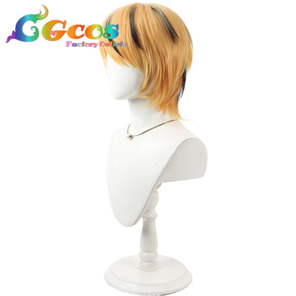 画像3: 東方Project　ウィッグ　寅丸星　コスプレ衣装 (3)