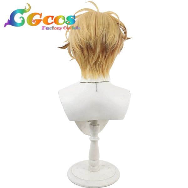 画像4: 刀剣乱舞　ウィッグ　古備前信房　コスプレ衣装 (4)