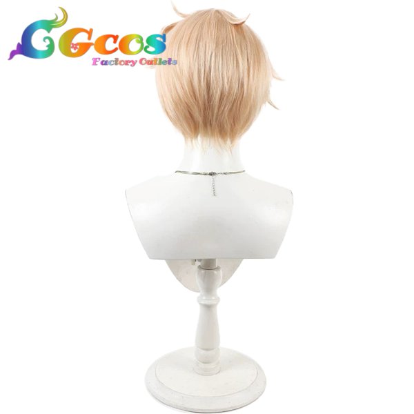 画像4: 合コンに行ったら女がいなかった話　ウィッグ　浅葱　コスプレ衣装 (4)