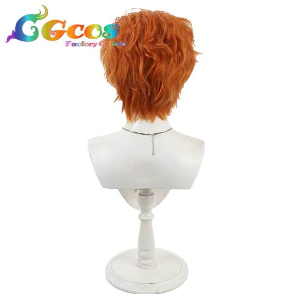 画像4: 忍たま乱太郎　ウィッグ　猪名寺乱太郎　コスプレ衣装 (4)